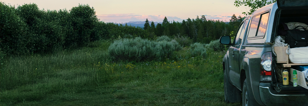 Truck parked out in nature.